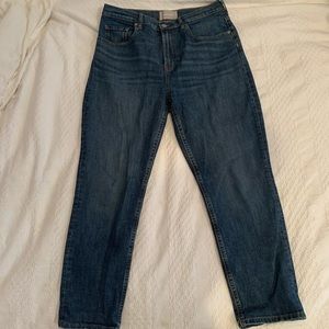 Everlane High Rise Straight Jean